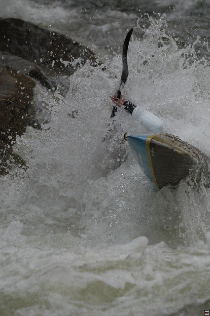 img00050.jpg